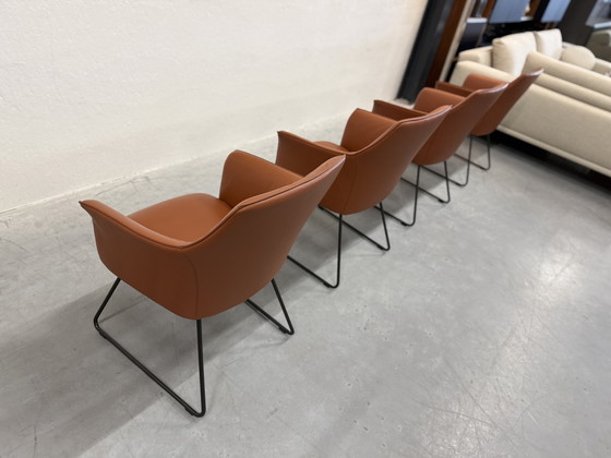 Image 1 of 4 Leolux Mara Dining Chairs Wapiti Hawk leather