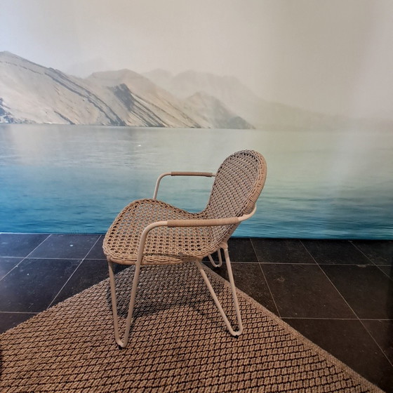 Image 1 of Sedia da pranzo Joli Fizz