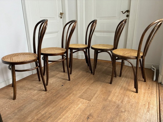 Image 1 of Set di 5 sedie Thonet n. 18 di ZPM Radomsko