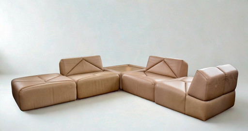 Das wunderschöne modulare Designsofa de Sede DS 88