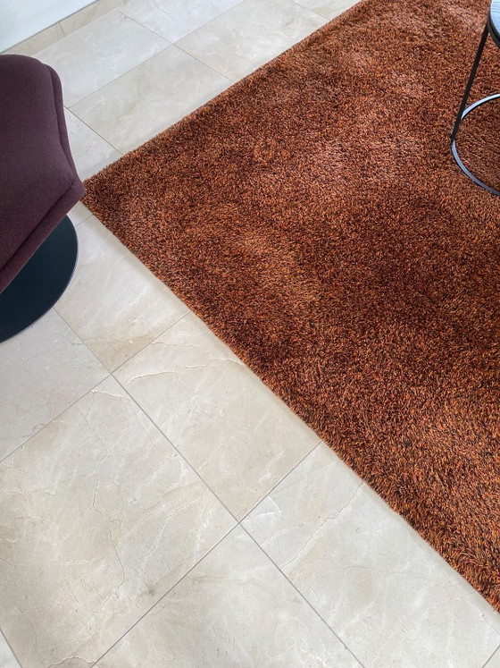 Alfombra – Millenerpoort, Wool, Silk (photo 10 of 10)