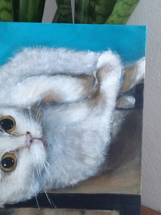 Image 1 of Dipinto di gatti 🐱