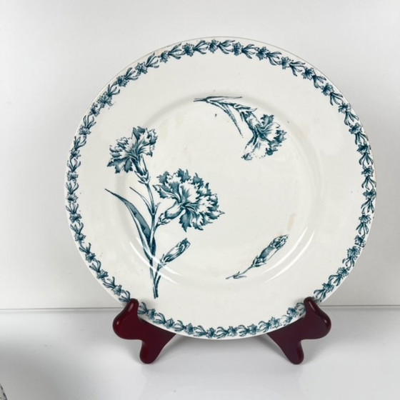 Image 1 of Set of 6 "Carnation" pattern dinner plates, KG Lunéville, ironstone, 19th century