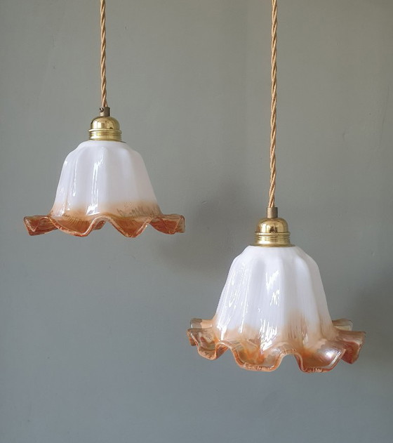 Set of Vintage Glass Pendant Lights. Floral / Flower-shaped Glass – Pendant lamps, Metal (photo 5 of 24)