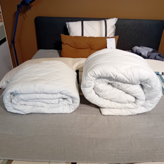 Image 1 of Auping Comfort 4-seizoenen dekbed -  260x220