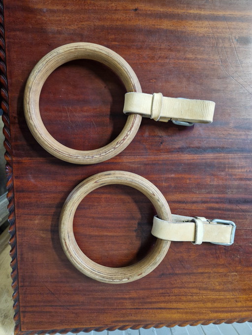 Antique gymnastics rings