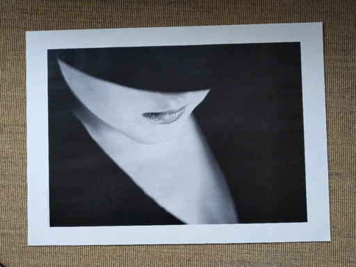 Michiel Ibelings, Monique 1981