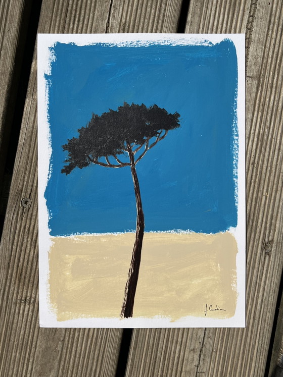 Image 1 of Acrylic and ink, umbrella pine, A4