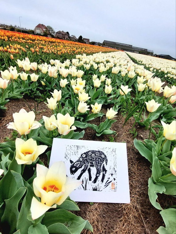 Image 1 of Stampa Linocut della pecora nera: Arte fatta a mano in edizione limitata A4