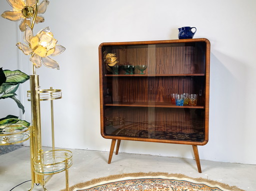 Stylish Display Case With Round Corners From 1950s