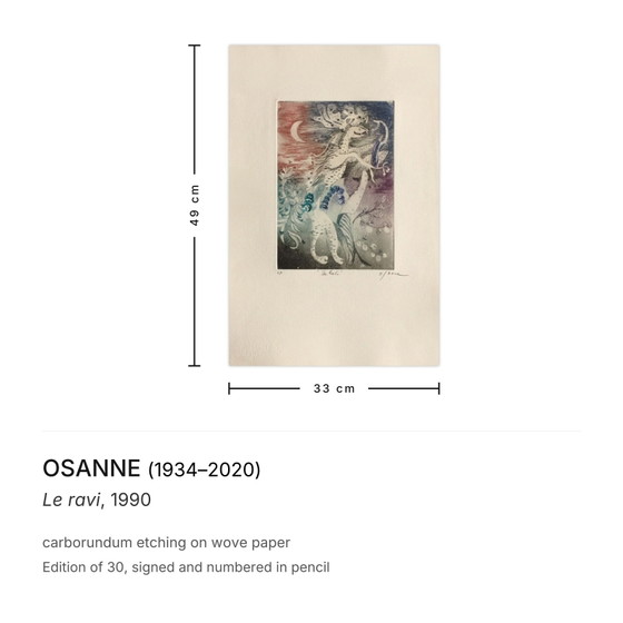 Image 1 of Osanne Le Ravi signierte Carborundum-Radierung 1990