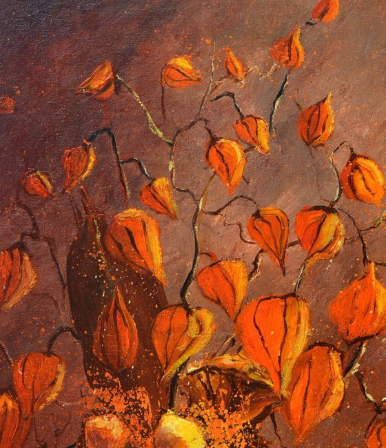 Image 1 of Physialis