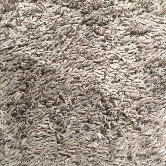 Image 1 of Kvadrat 20005 Corale 0132 rug - 200x300