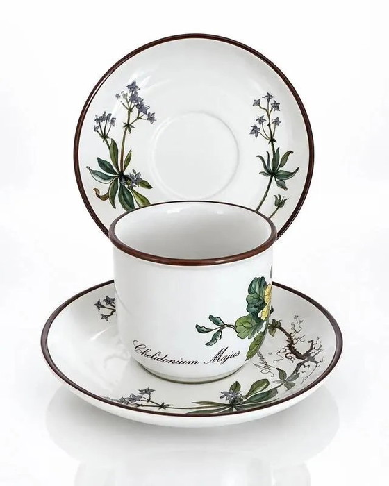 Tazza Chelidonium Majus & Piattino Asperula Odorata - Villeroy & Boch Botanica, Stoviglie, Porcellana, Retro (foto 5 di 5)