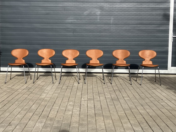 Image 1 of Fritz Hansen Ant (mier) chairs in Cognac leder NIEUWstaat!