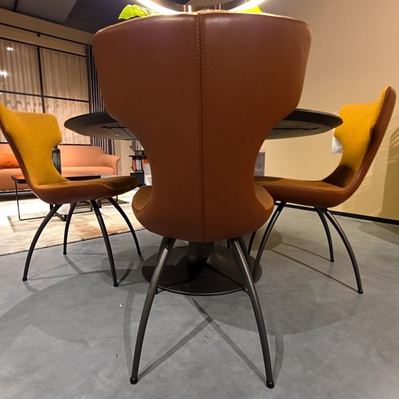 Image 1 of Leolux Callas Esszimmerstuhl (4er-Set)