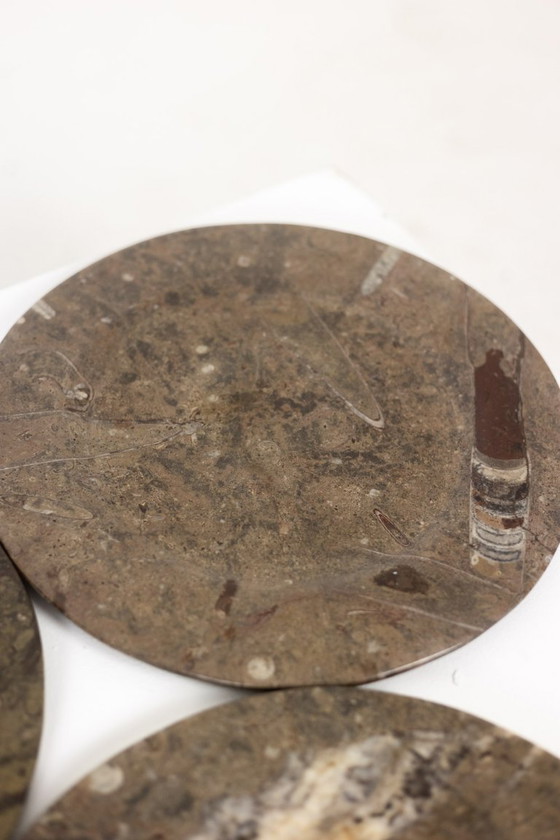 Image 1 of Set aus 7 Marmortellern mit Fossilieneinschlüssen. 20. Jahrhundert.
