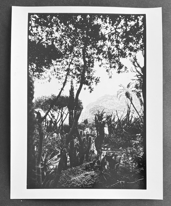 Image 1 of Michel Pinel - Capri, Italy 2002 - Signed