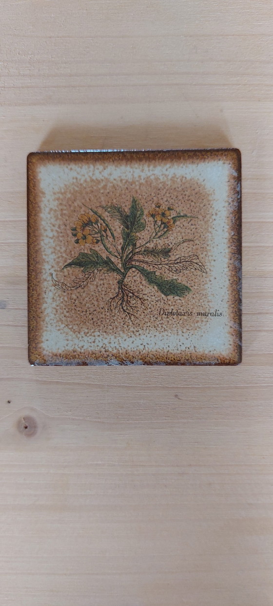 Image 1 of 16 confezioni da 6 piastrelle da parete in ceramica vintage con stampa botanica, anni '70