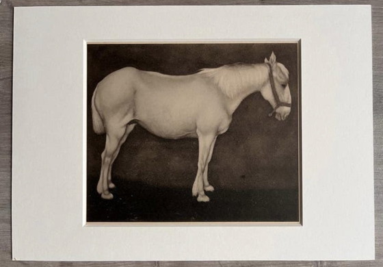 Image 1 of Jan Mankes 1889-1920 / Original Heliogravüre Weißes Pferd 1923
