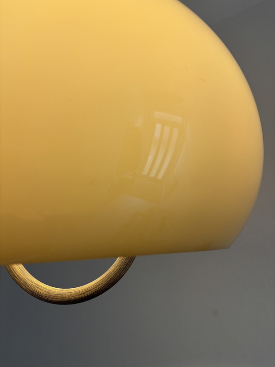 Image 1 of Vintage Brown/Beige Plexiglass 70's Pendant Lamp with Pull Pendant and Wooden Handle