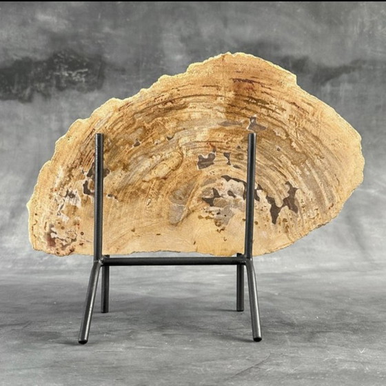 Image 1 of Madera fosilizada de Sooka, soporte hecho a medida (nuevo)