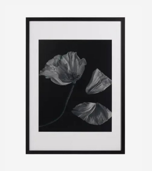 Boconcept - Fauna 2 Art Gallery