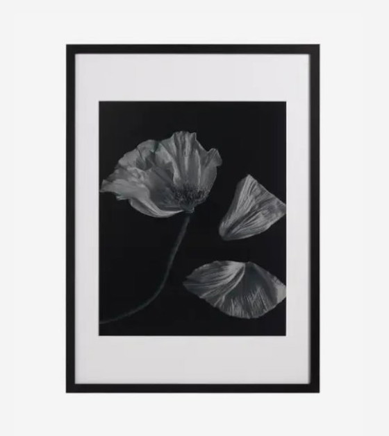 Image 1 of Boconcept - Fauna 2 Art Gallery