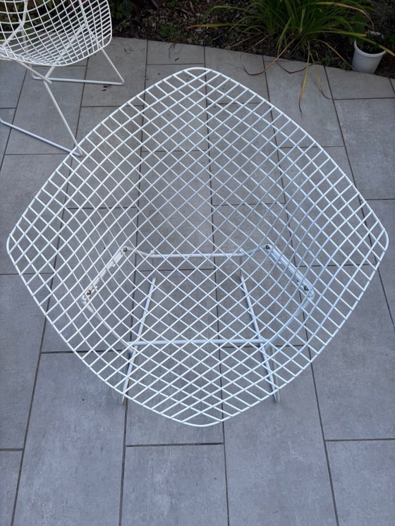 Image 1 of Bertoia Diamond Knoll vintage white armchairs - iconic design