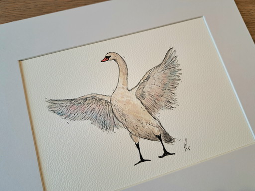 Watercolor painting Swan | Dark brown frame