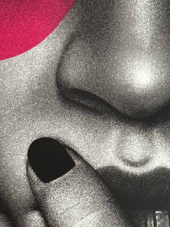 Image 1 of FIN DAC – Haiconca (Rosa) - Edizione /40 – Firmato a mano e numerato - COA