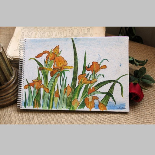 Hand-painted and hand-bound notebooks on handmade paper. Unique designs. Signed by the artist.