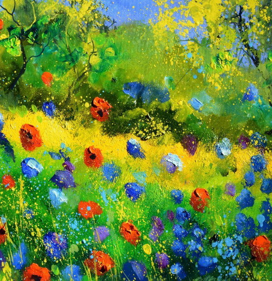 Image 1 of Rode klaprozen 77