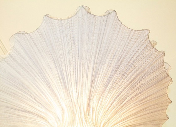 Image 1 of Morning Glory Floor Lamp by Aqua Creations