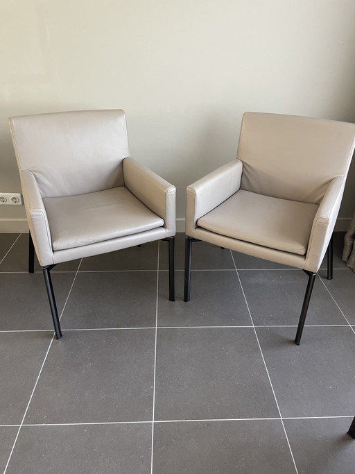 Sedie da pranzo Minotti (6x) Manet – eetkamerstoelen, Leather, Metal