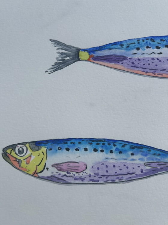 Acquerello Sardine – canson, Decorazioni murali, Paper (photo 6 of 8)