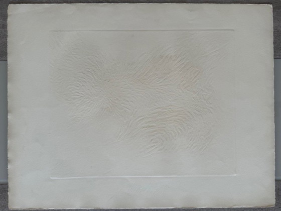 Image 1 of Litografia "Metamorfosi" di Shirley Estelle Witebsky