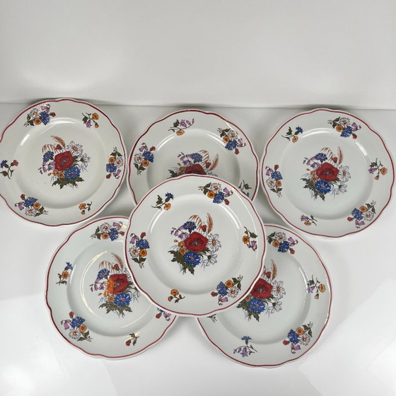 Set of 6 Dinner Plates "Agreste", Sarreguemines, Late 20th Century, Pyroblan – Crockery, Porcelain, Vintage (photo 7 of 13)