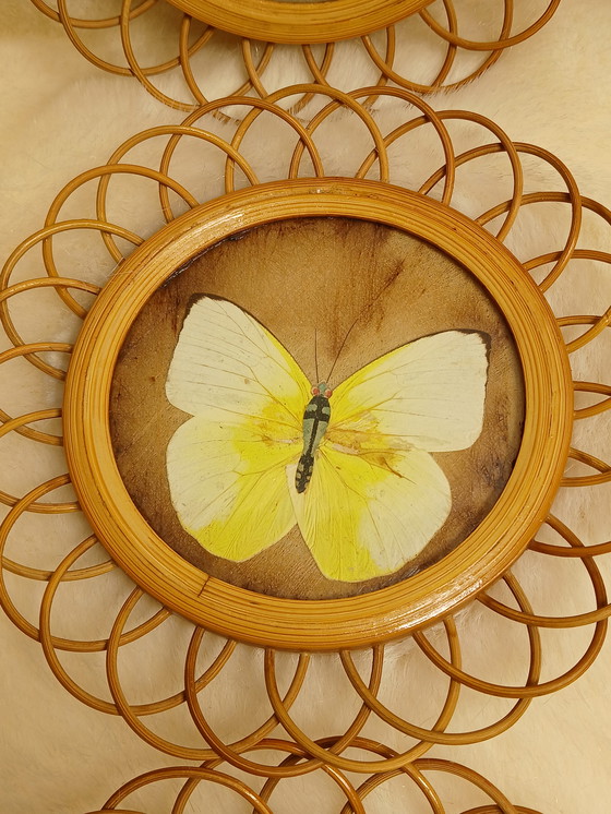 Image 1 of Sottobicchieri vintage in bambù con farfalle