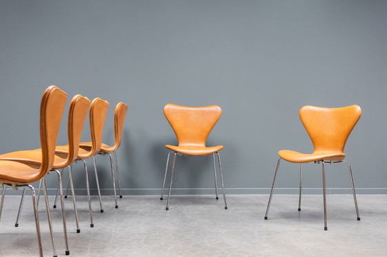 Image 1 of Sedia "farfalla" Serie 7, set da 6