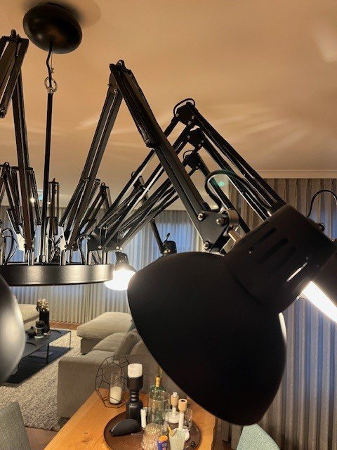 Image 1 of Lampada a sospensione Moooi Dear Ingo