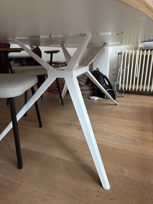 Modèle ovale en forme de pomme de Zwaan van Seuren (nouvelle lame) 