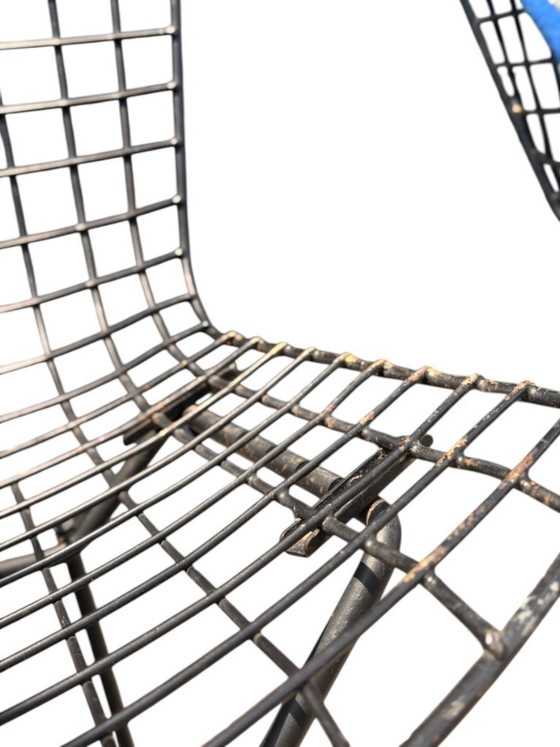 Image 1 of Ensemble authentique de 4 chaises Harry Bertoia Wire pour Knoll - Acier et coussins d'origine
