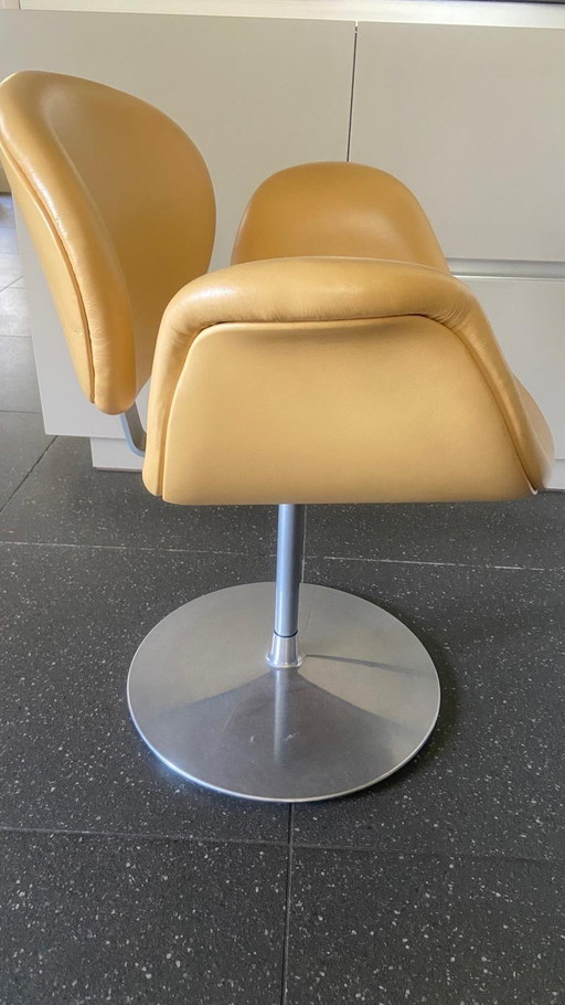 Fauteuil tulipe en cuir Artifort
