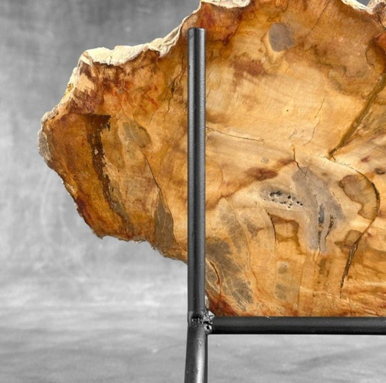 Image 1 of Bois fossilisé de Sooka, fabrication sur mesure standard (nouveau)