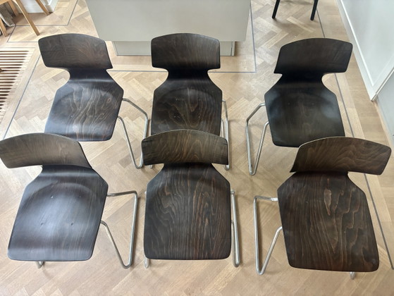 Sillas Flototto Pagwood / Pagholz – Sillas de comedor, Metal (photo 5 of 5)