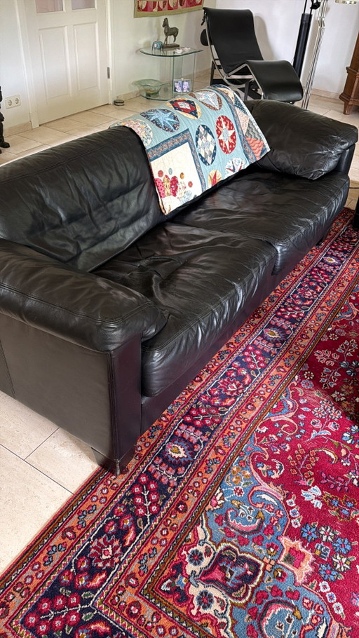Set divani in pelle 2+3 Zita De Sede