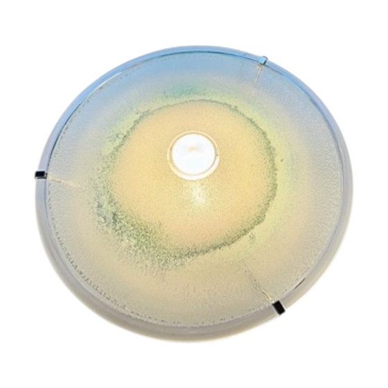 Image 1 of Lampada da parete vintage soffiata a mano, anni '80