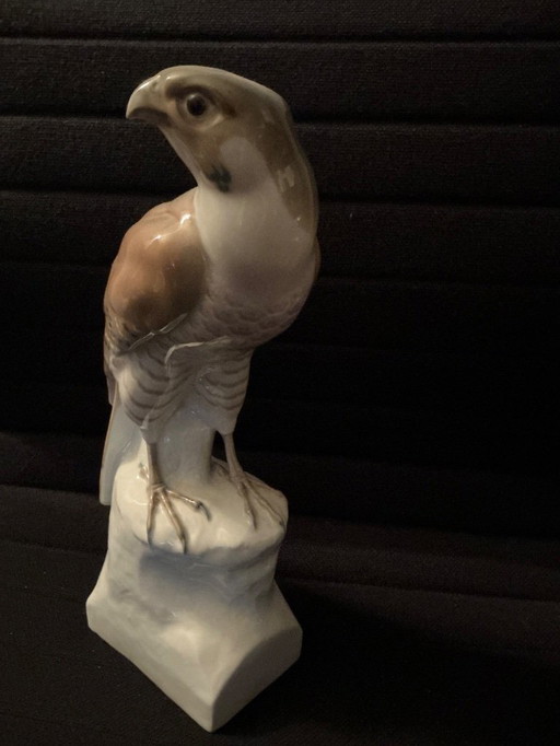 Bird of prey porcelain