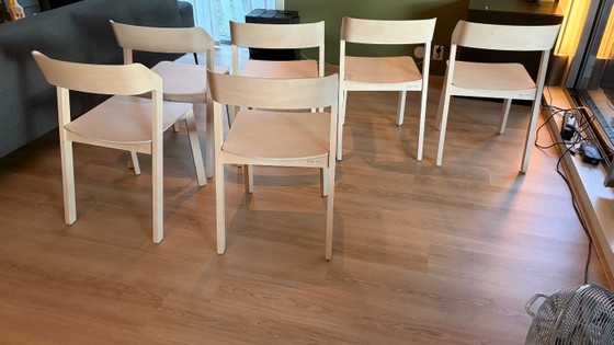 TON Merano eetkamerstoelen – set van 6 – design Alex Gufler – Wood (photo 5 of 5)